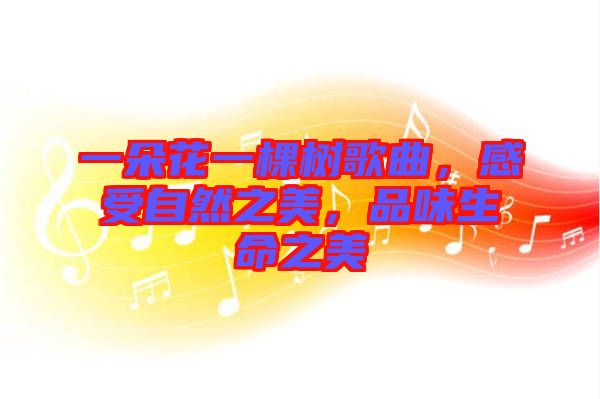 一朵花一棵樹歌曲，感受自然之美，品味生命之美