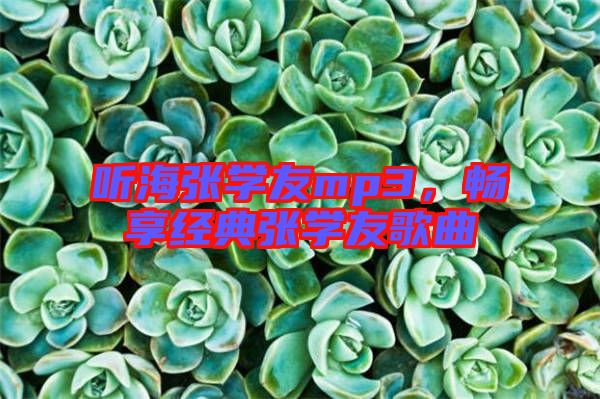 聽海張學(xué)友mp3，暢享經(jīng)典張學(xué)友歌曲