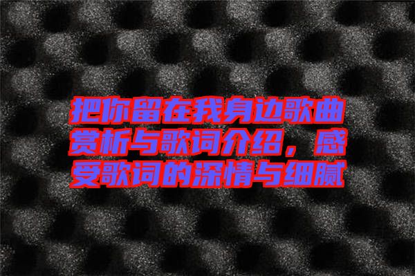 把你留在我身邊歌曲賞析與歌詞介紹，感受歌詞的深情與細(xì)膩
