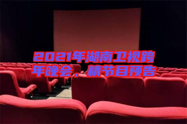 2021年湖南衛(wèi)視跨年晚會，精節(jié)目預告