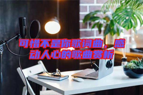 可惜不是你歌詞曲，感動人心的歌曲賞析