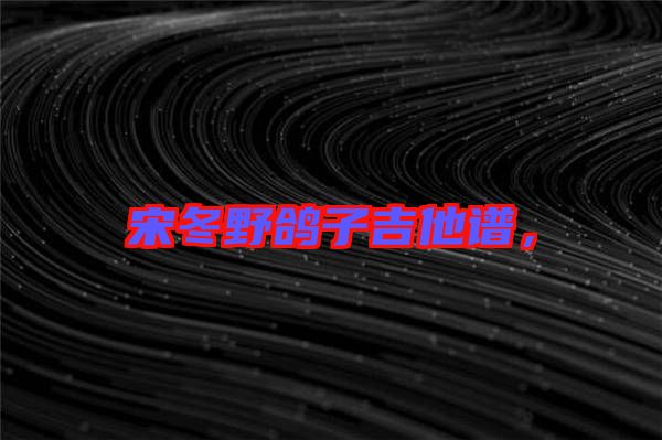 宋冬野鴿子吉他譜，