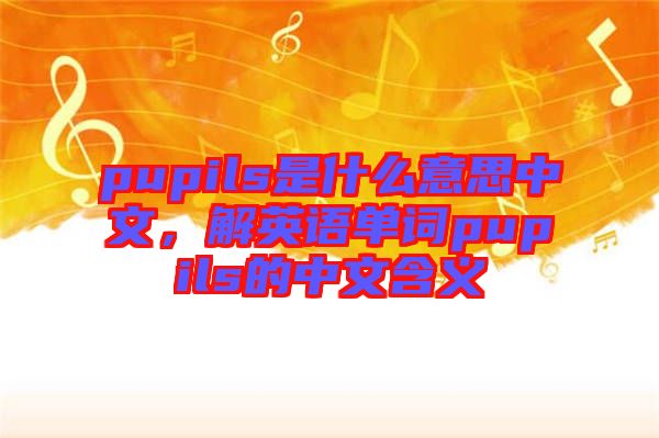pupils是什么意思中文，解英語單詞pupils的中文含義