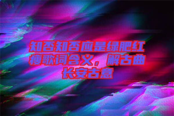 知否知否應(yīng)是綠肥紅瘦歌詞含義，解古曲長安古意