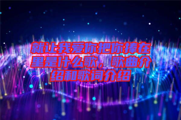 就讓我愛你把你捧在里是什么歌，歌曲介紹和歌詞介紹