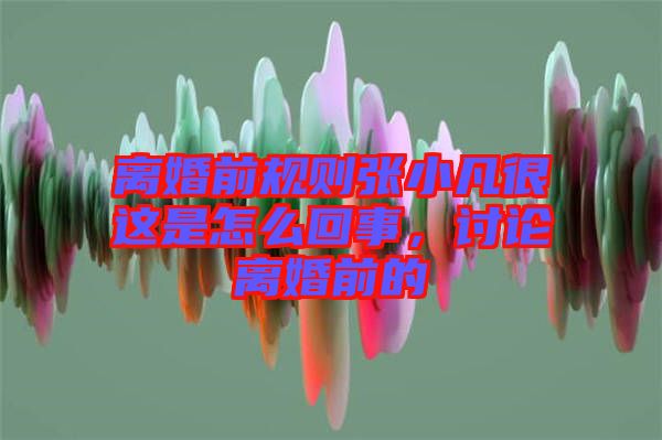 離婚前規(guī)則張小凡很這是怎么回事，討論離婚前的