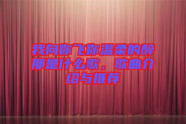 我向你飛你溫柔的醉那是什么歌，歌曲介紹與推薦