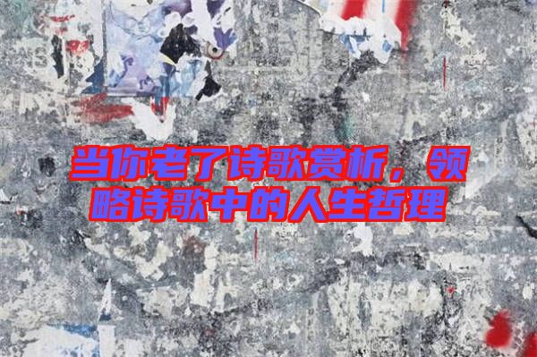 當(dāng)你老了詩歌賞析，領(lǐng)略詩歌中的人生哲理