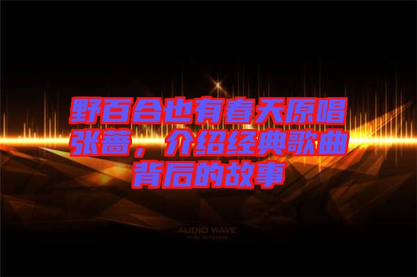 野百合也有春天原唱張薔，介紹經(jīng)典歌曲背后的故事
