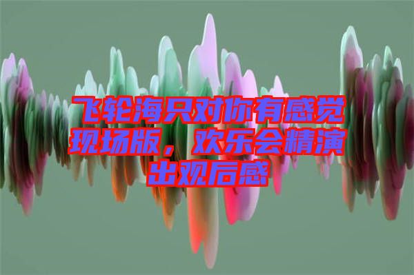 飛輪海只對(duì)你有感覺現(xiàn)場(chǎng)版，歡樂會(huì)精演出觀后感