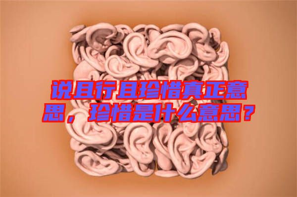 說且行且珍惜真正意思，珍惜是什么意思？