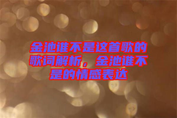 金池誰不是這首歌的歌詞解析，金池誰不是的情感表達(dá)