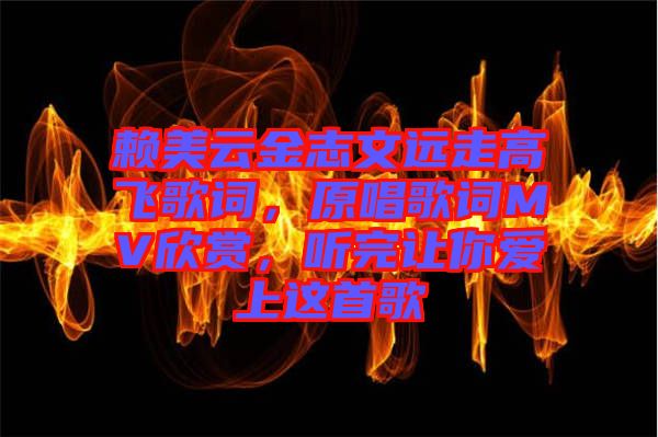 賴美云金志文遠走高飛歌詞，原唱歌詞MV欣賞，聽完讓你愛上這首歌