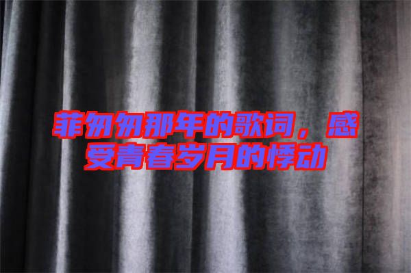 菲匆匆那年的歌詞，感受青春歲月的悸動