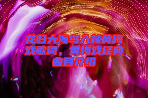 龍歸大海鳥入林黃梅戲歌詞，黃梅戲經(jīng)典曲目介紹