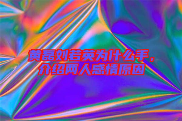 黃磊劉若英為什么手，介紹兩人感情原因