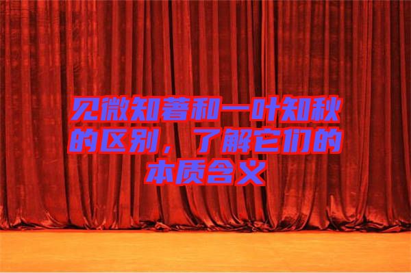 見微知著和一葉知秋的區(qū)別，了解它們的本質(zhì)含義
