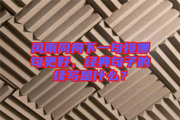 風(fēng)雨同舟下一句接哪句更好，經(jīng)典句子的續(xù)寫是什么？