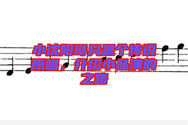 小沈陽哥只是個傳說原唱，介紹小品演的之路