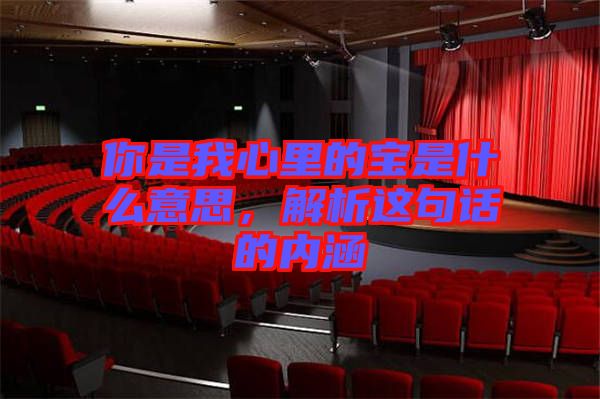 你是我心里的寶是什么意思，解析這句話的內(nèi)涵