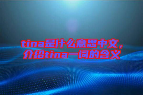 tina是什么意思中文，介紹tina一詞的含義