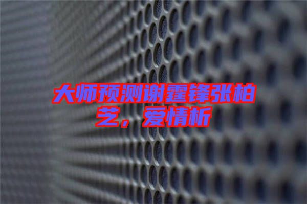 大師預(yù)測(cè)謝霆鋒張柏芝，愛(ài)情析