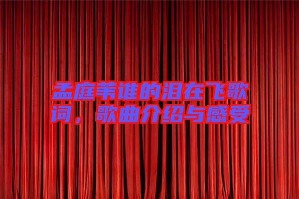 孟庭葦誰的淚在飛歌詞，歌曲介紹與感受