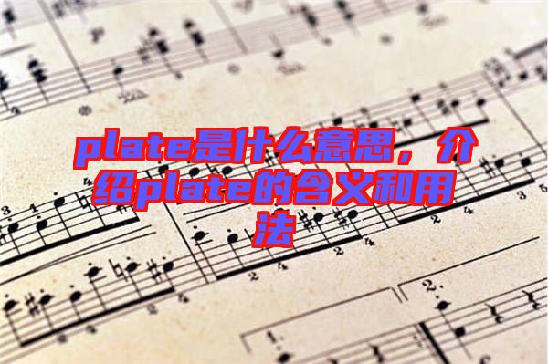plate是什么意思，介紹plate的含義和用法