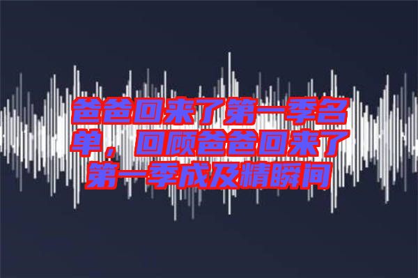 爸爸回來了第一季名單，回顧爸爸回來了第一季成及精瞬間