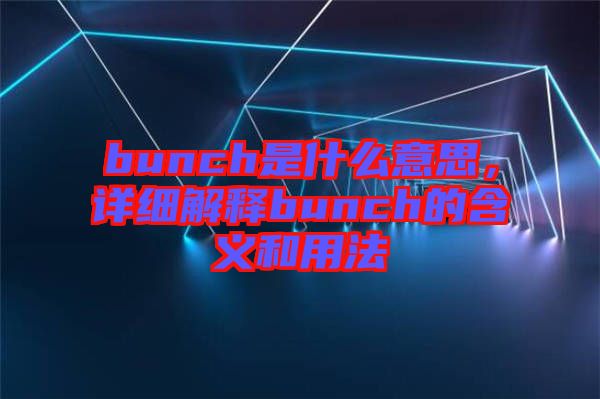 bunch是什么意思，詳細(xì)解釋bunch的含義和用法