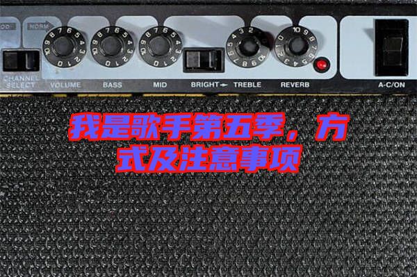我是歌手第五季，方式及注意事項(xiàng)