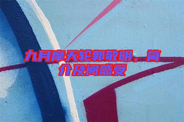 九月摩天輪郭敬明，簡介及閱感受