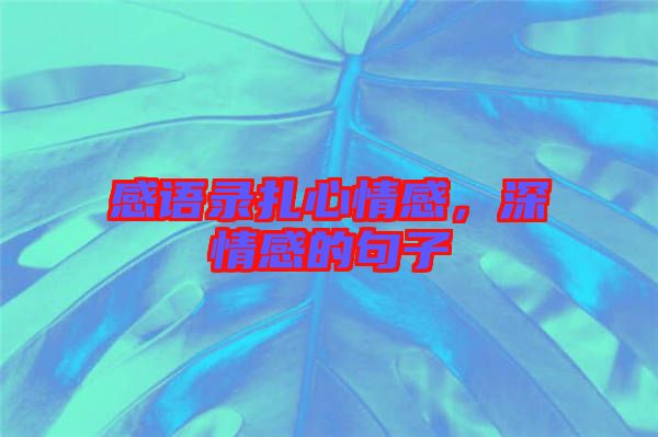 感語錄扎心情感，深情感的句子