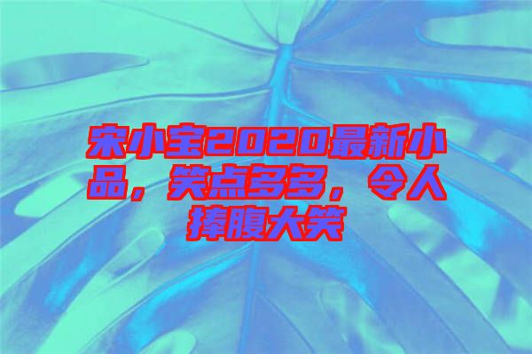 宋小寶2020最新小品，笑點(diǎn)多多，令人捧腹大笑