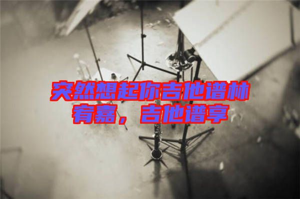 突然想起你吉他譜林宥嘉，吉他譜享