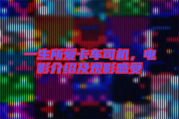一生所愛卡車司機，電影介紹及觀影感受