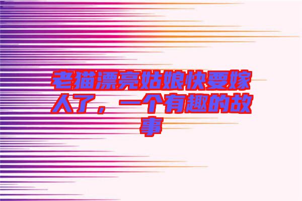 老貓漂亮姑娘快要嫁人了，一個有趣的故事