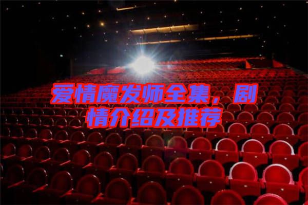 愛情魔發(fā)師全集，劇情介紹及推薦