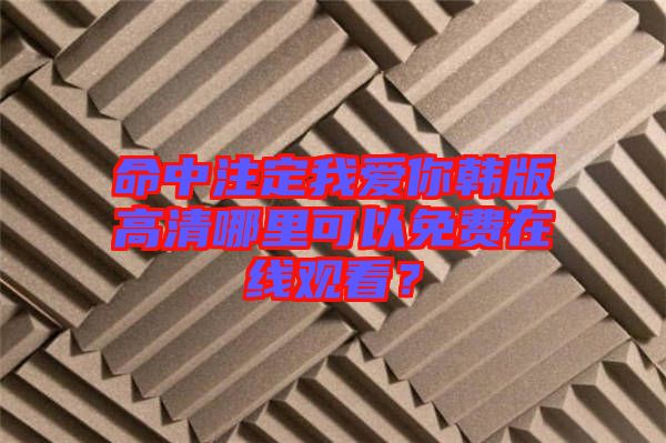 命中注定我愛(ài)你韓版高清哪里可以免費(fèi)在線觀看？