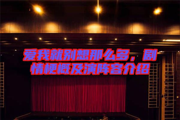 愛我就別想那么多，劇情梗概及演陣容介紹