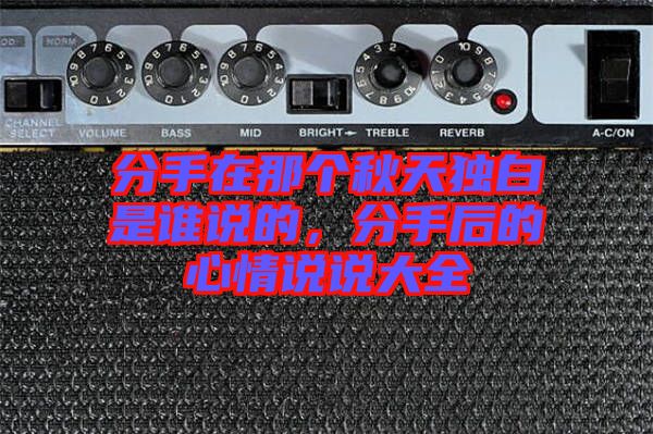 分手在那個(gè)秋天獨(dú)白是誰說的，分手后的心情說說大全