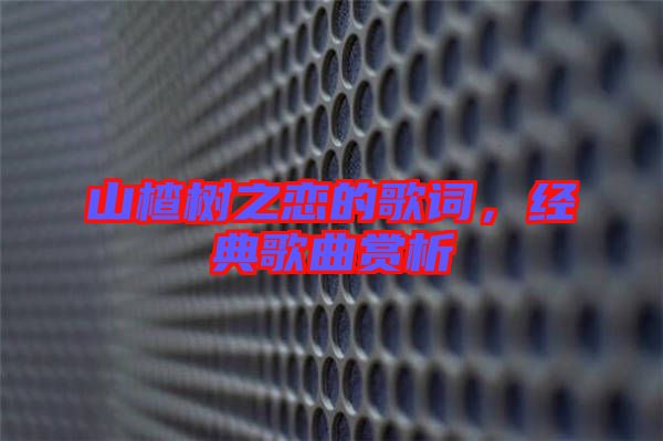 山楂樹(shù)之戀的歌詞，經(jīng)典歌曲賞析
