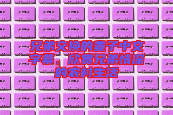 兄弟交換的麥子中文字幕，欣賞兄弟情深的農(nóng)村生活