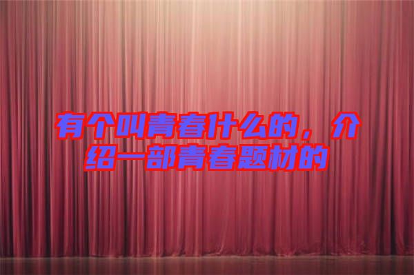 有個(gè)叫青春什么的，介紹一部青春題材的