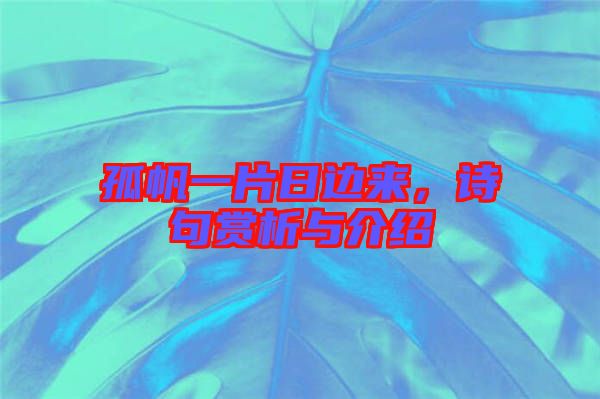 孤帆一片日邊來，詩句賞析與介紹