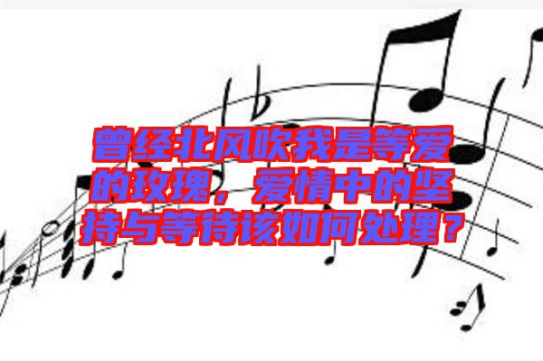 曾經(jīng)北風(fēng)吹我是等愛的玫瑰，愛情中的堅(jiān)持與等待該如何處理？