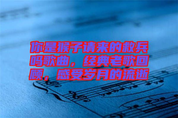 你是猴子請來的救兵嗎歌曲，經(jīng)典老歌回顧，感受歲月的流逝