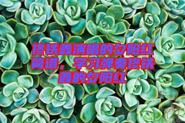 佟鐵鑫演唱的夕陽(yáng)紅簡(jiǎn)譜，學(xué)習(xí)彈奏佟鐵鑫的夕陽(yáng)紅