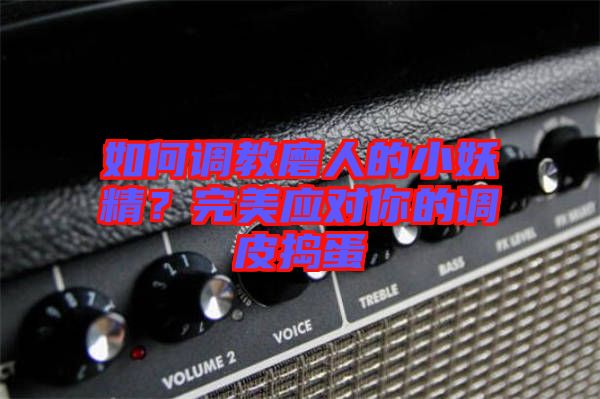 如何調(diào)教磨人的小妖精？完美應(yīng)對(duì)你的調(diào)皮搗蛋