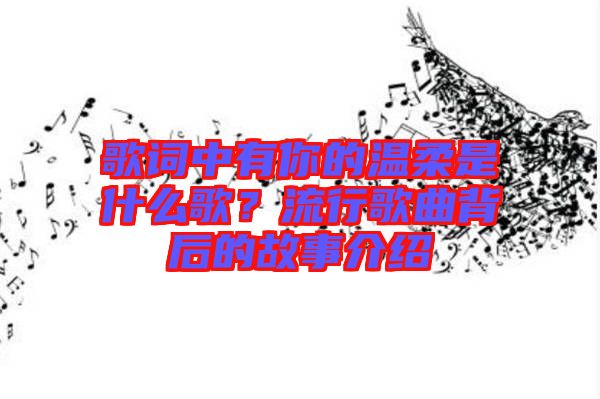 歌詞中有你的溫柔是什么歌？流行歌曲背后的故事介紹
